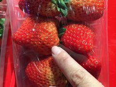 -AEON永旺(东方宝泰店)