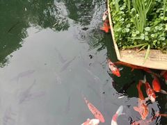 -千滋百味·醉江澜花园餐厅(街道口店)