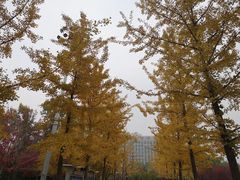 -沈阳职业技术学院