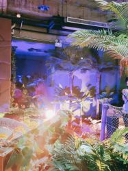 -恐龙探索乐园(磁器口店)