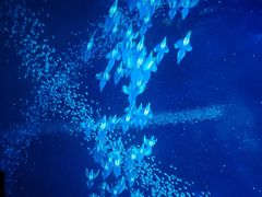 -厦门方特东方神画