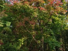 -长春市南湖公园