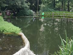 -成都市活水公园
