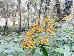 -上海市保健医疗中心