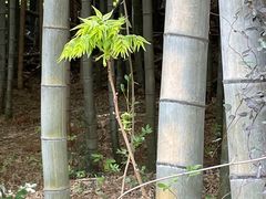 -九龙潭景区