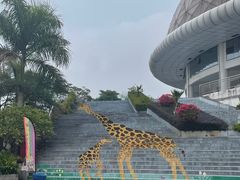 -灵玲国际马戏城