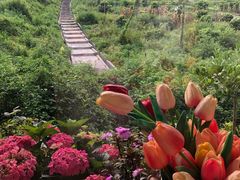 -东莞植物园
