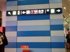 -大望路(地铁站)