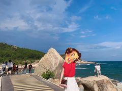 -广东惠东海龟国家级自然保护区