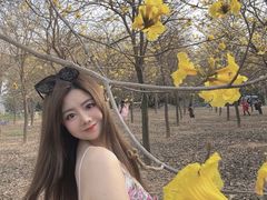 -天适樱花悠乐园
