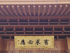 -深圳仙湖植物园