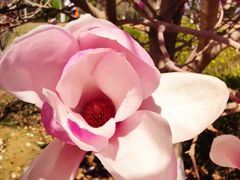 -永定河休闲森林公园