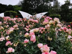 -人民公园(罗湖区)