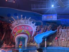 -烟台海昌鲸鲨海洋公园