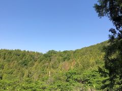 -水池山公园
