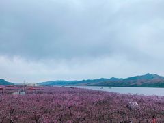 -河口景区