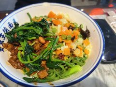 -贺秦生陕面王(富力城店)