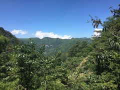 -藏龙百瀑风景区