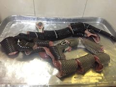 -荔城生鲜盛宴(番禺旗舰店)