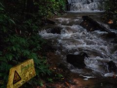 -莫里热带雨林景区