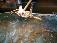 -蟹之国·精品蟹料理(极地店)