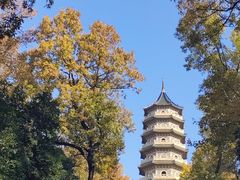 -灵谷景区