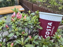 -COSTA COFFEE(上海虹口公园店)