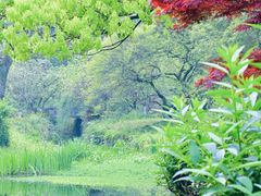 -杭州植物园