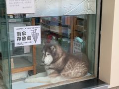 -龙城大药房