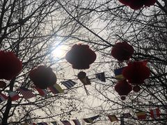 景点-朝阳公园