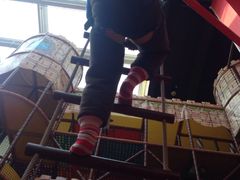 -蒙特利亲子乐园