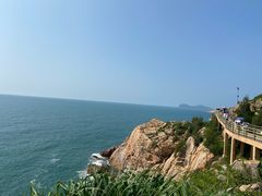 -广东惠东海龟国家级自然保护区