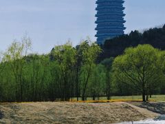 -永定河休闲森林公园