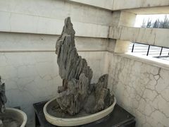 -石家庄市植物园