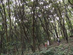 -广州市帽峰山景区