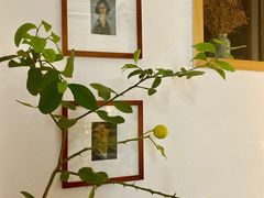 -COTTON CAFE(德信·中外公寓店)