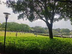 -东莞植物园