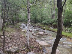 -玉渡山自然风景区