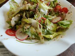 -峨嵋小镇·川菜(正定朗华店)