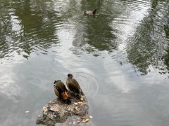 -拙政园