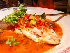 -坛宗剁椒鱼头(河西王府井店)