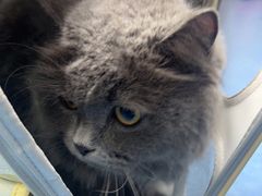 -博特宠物医院24h犬猫全科.骨科·异宠