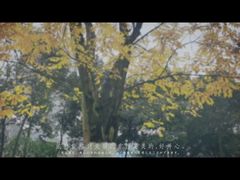 -两江幸福广场