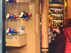 -熊猫屋(宽窄巷子景区店)