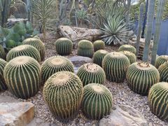 -上海辰山植物园