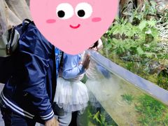-江和美海洋公园