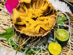 活海胆-友悦食堂(灯湖店)