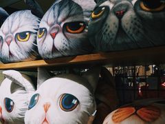 -猫咪博物馆(顶澳仔猫街店)