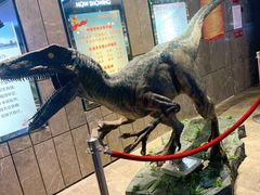 -武商摩尔影城(国广IMAX激光店)