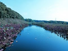 -同里国家湿地公园